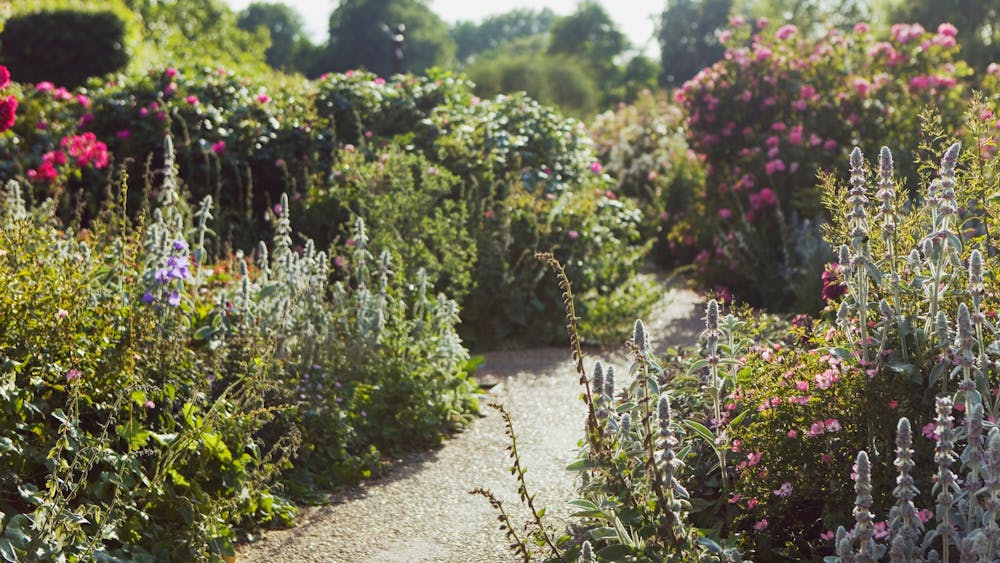 Thumbnail for Five Seasons: The Gardens of Piet Oudolf