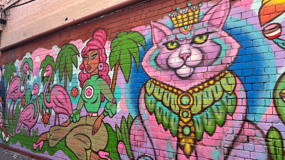 Thumbnail for Braddon Street Art Tour