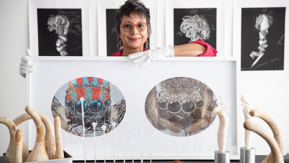 Thumbnail for Spiders of Paradise Floor Talk with Artist Maria Fernanda Cardoso