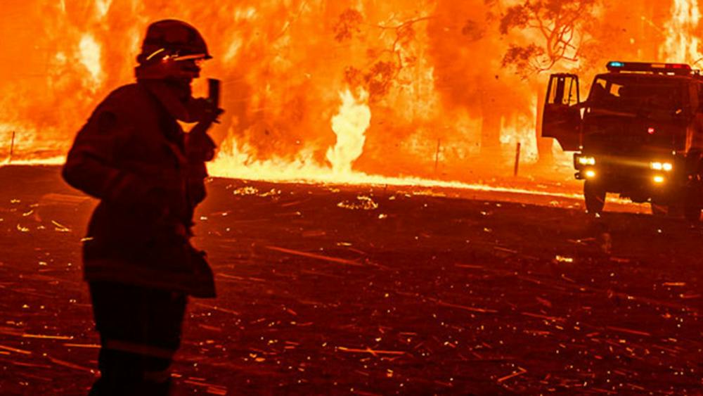 Thumbnail for Free admission for Fire Fighters and SES Members
