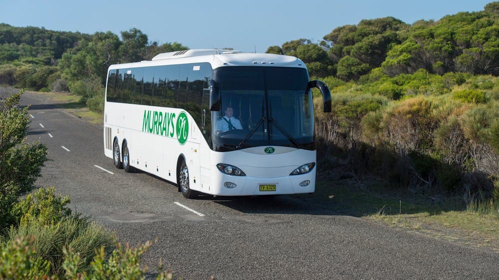 A Murrays Coach on the road