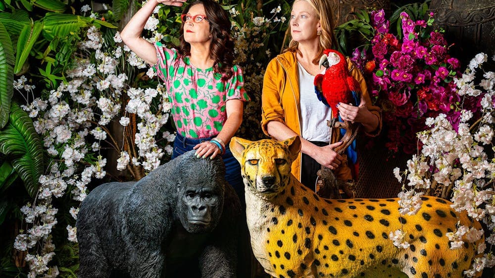 Annabel Crabb and Leigh Sales seated in a mock jungle with a cheetah, looking into the distance.