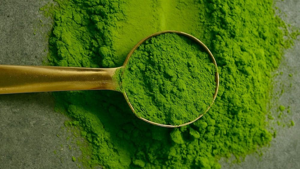 Ujin Matcha House, Canberra