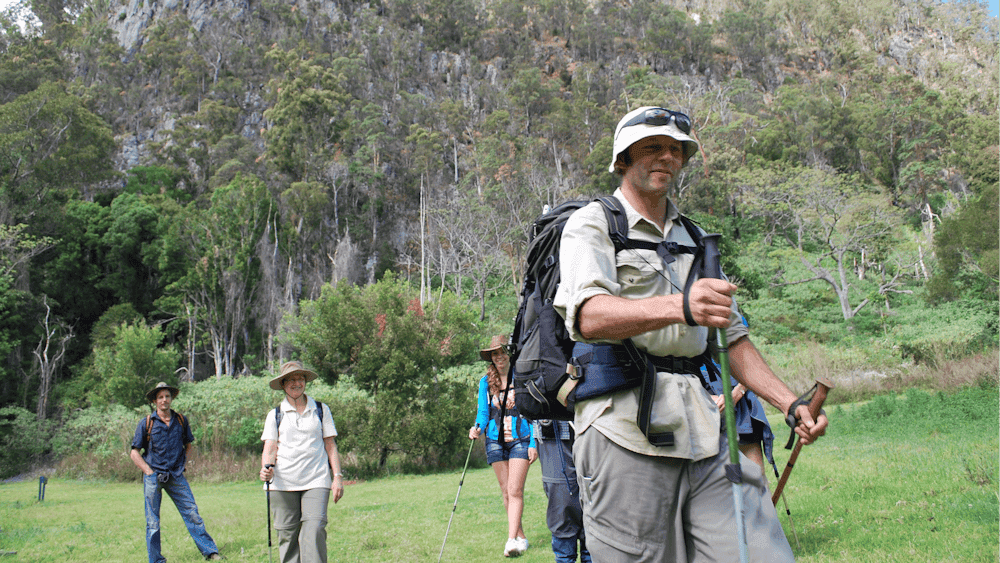 Gold Coast Hinterland Great Walk
