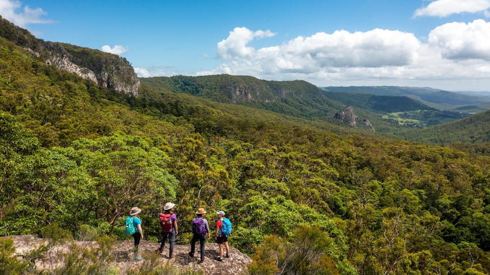 Lamington National Park guided walks