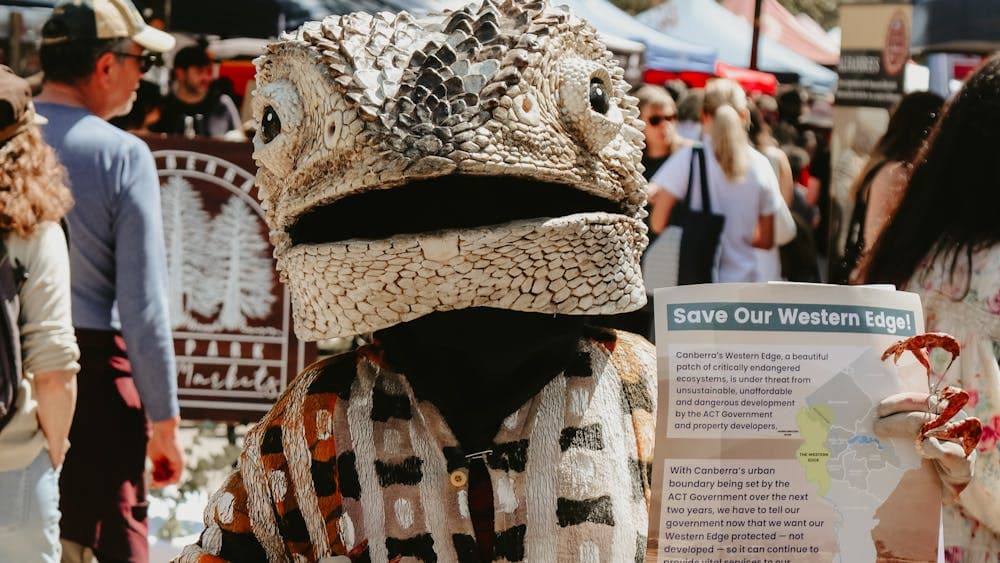 An image of a person dressed up as a Lizard at the Haig Park Village Markets