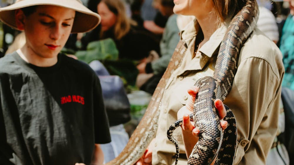Emma from Canberra Snake Rescue holding a python at the Haig Park Village Markets