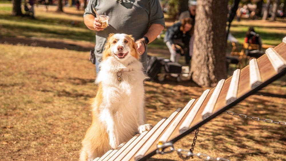 Paws Party Canberra