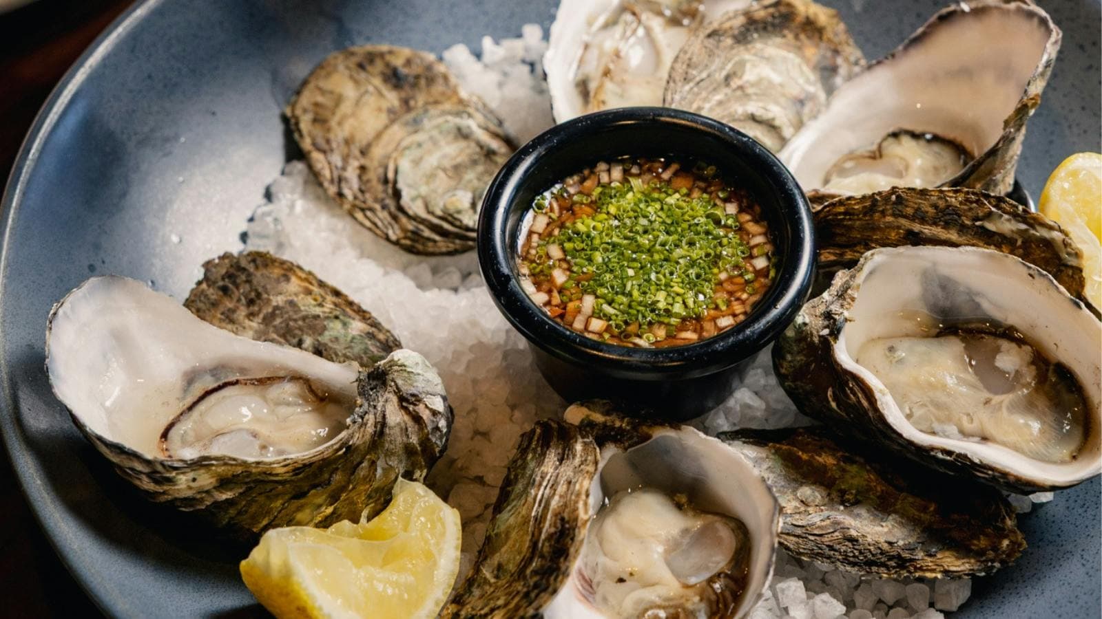 Oysters on plate