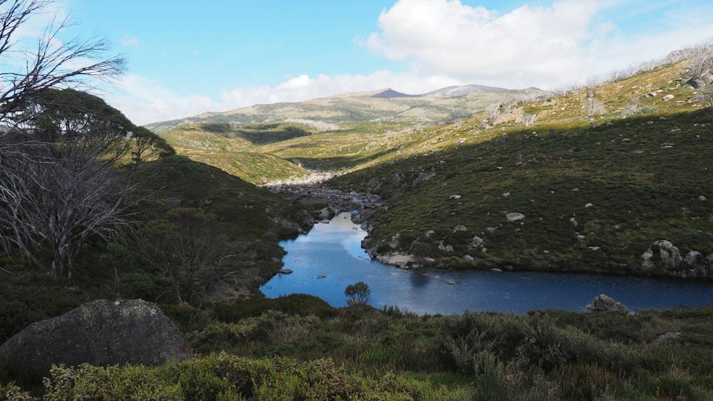 Thumbnail for Advanced Early Bird Discount