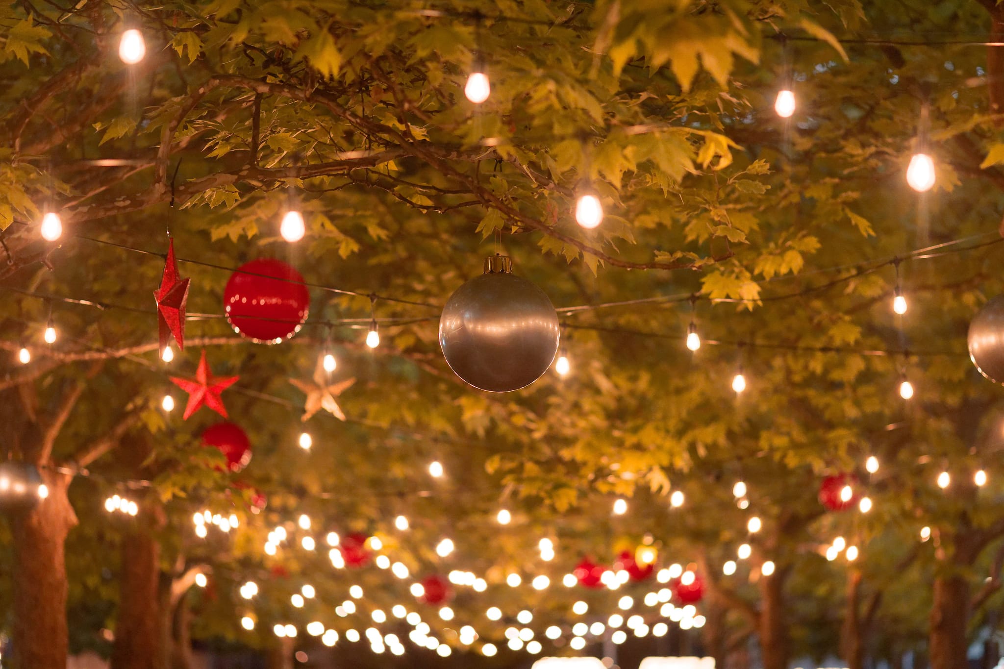 Thumbnail for Christmas magic in the City Centre