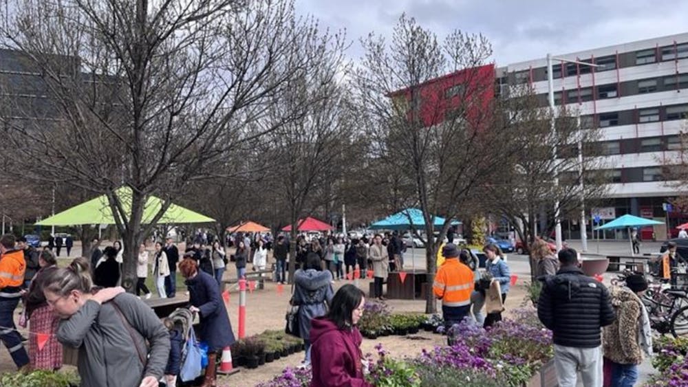 Thumbnail for Free Plant Giveaway