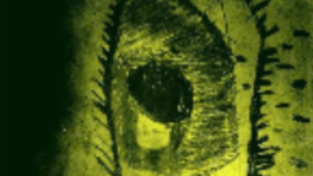 Thumbnail for Scenery