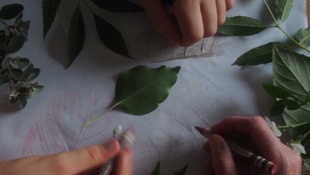 Three hands sketching pictures of a variety of leaves that they have.