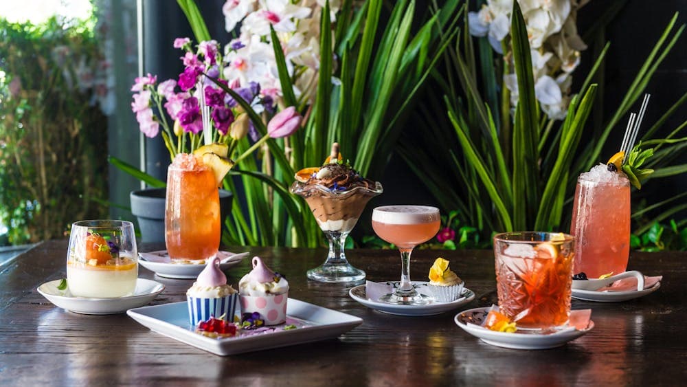 Top Cocktail Picks