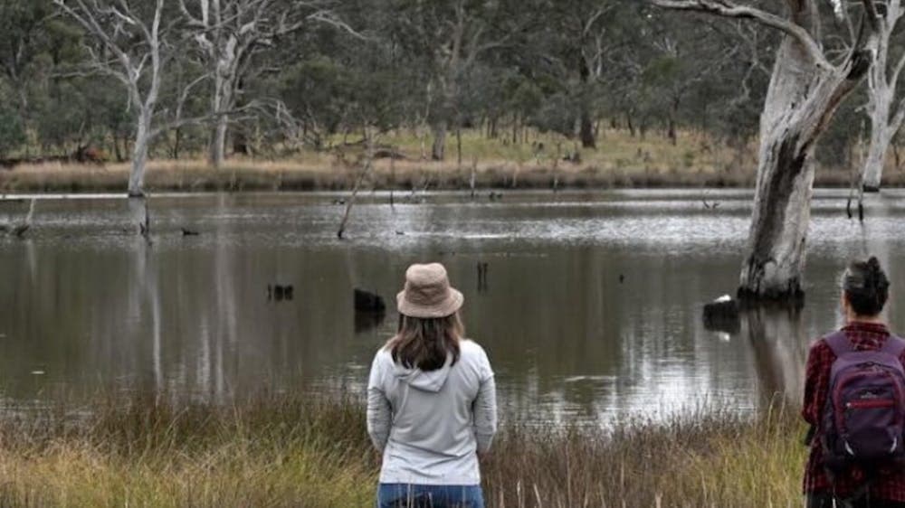 Guide leading nature therapy session