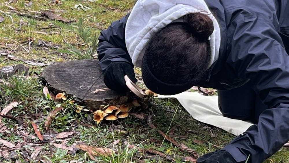 Woman exploring tiny details in nature with magnifying glass