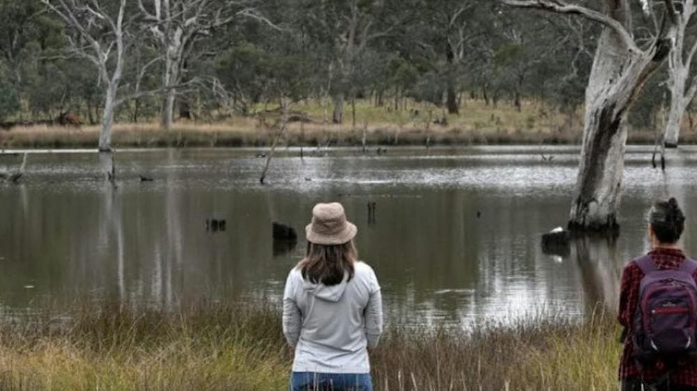 Guide leading nature therapy session