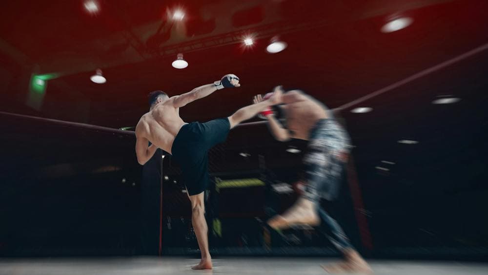 UFC