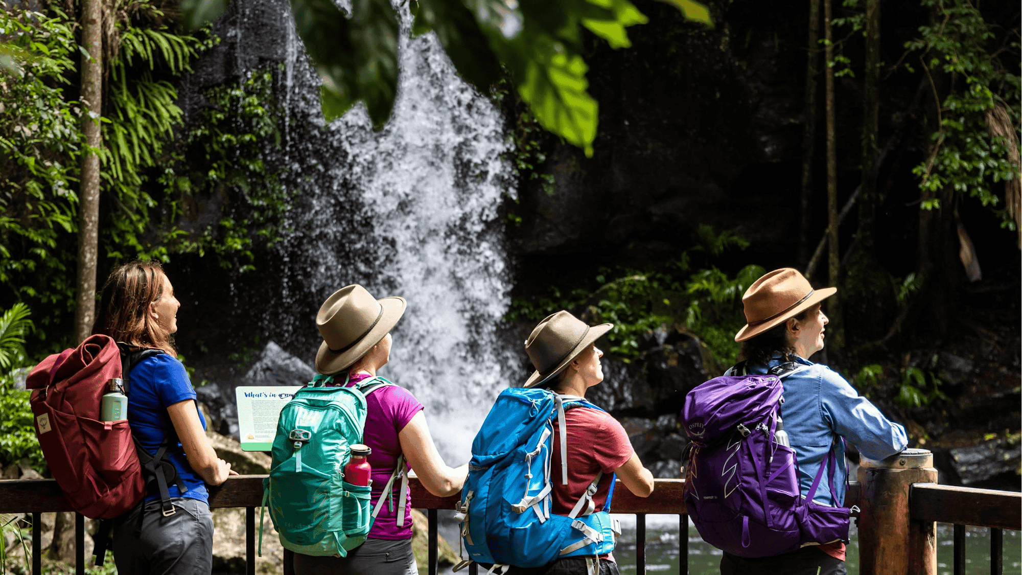 Guided Walks Scenic Rim