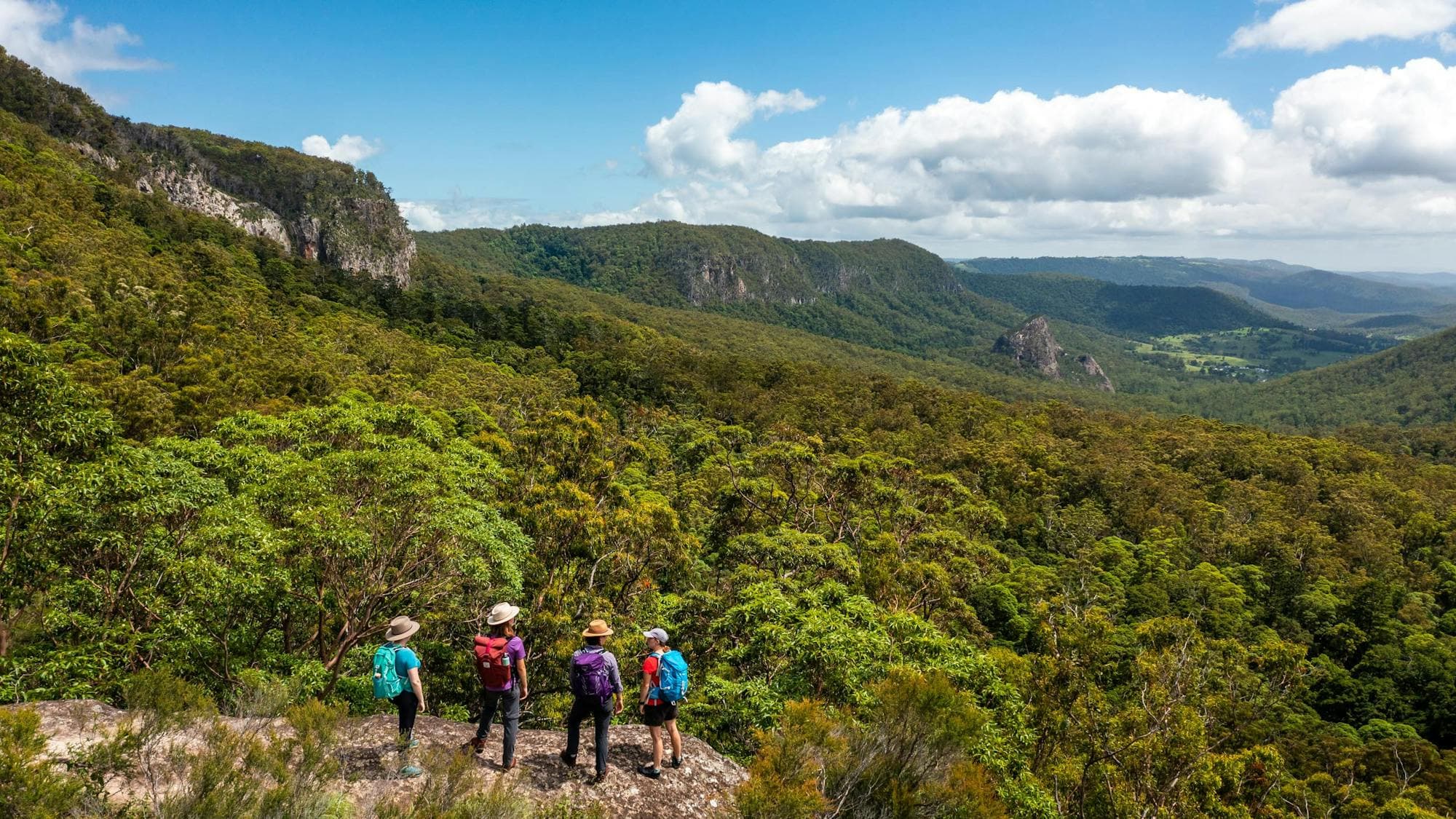 Lamington National Park guided walks